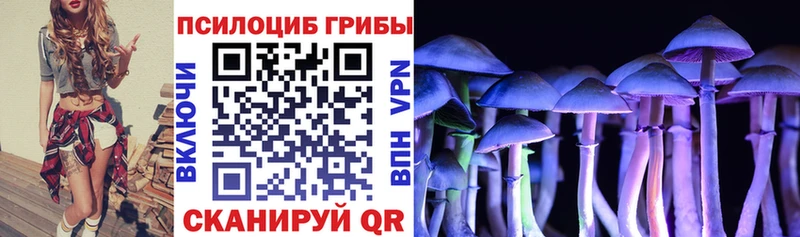 Псилоцибиновые грибы GOLDEN TEACHER  darknet телеграм  Владивосток 