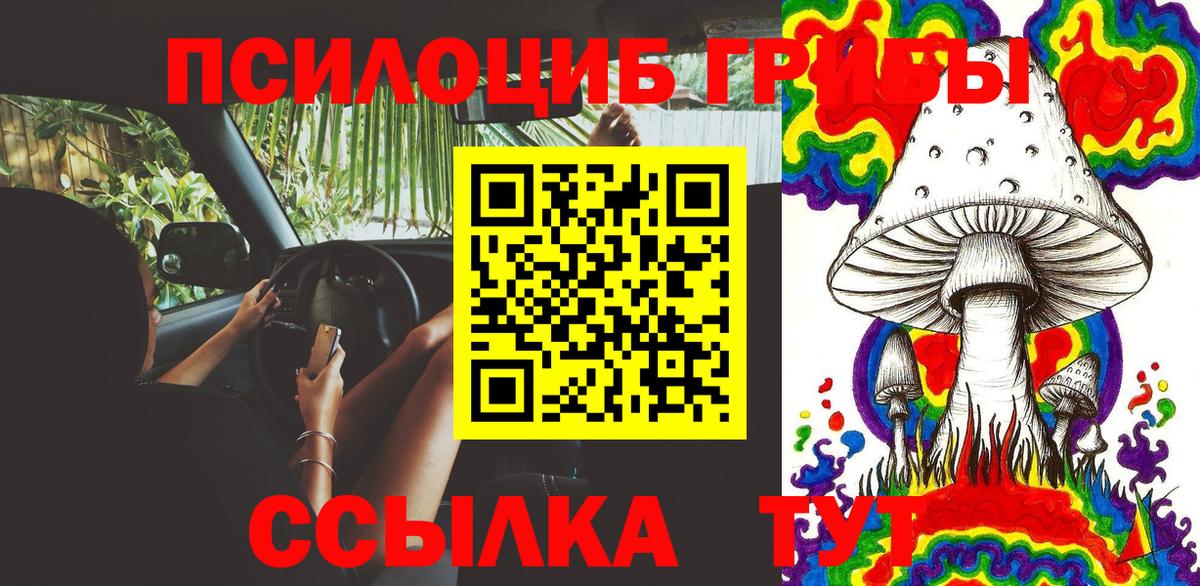 Галлюциногенные грибы Psilocybe  Галлюциногенные грибы прущие грибы  Вход с VPN  Владивосток 